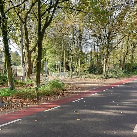 Huinerhofje 3 - Vrijstaand, Grote Tuin, Rust En Veel Privacy Nabij Uitgestrekte Bossen