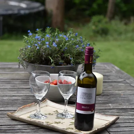 Holiday home Huinerhofje 3 - Vrijstaand, Grote Tuin, Rust En Veel Privacy Nabij Uitgestrekte Bossen