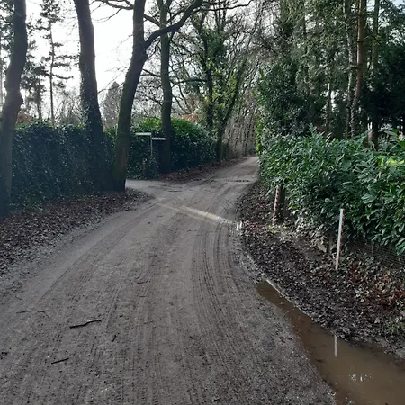 Huinerhofje 3 - Vrijstaand, Grote Tuin, Rust En Veel Privacy Nabij Uitgestrekte Bossen *