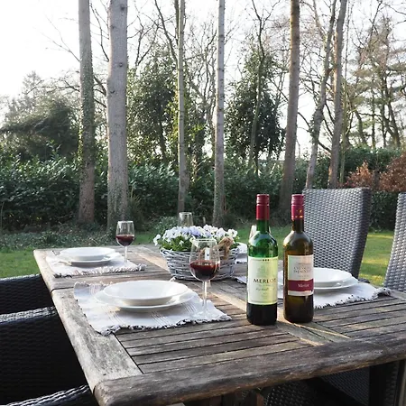 Huinerhofje 3 - Vrijstaand, Grote Tuin, Rust En Veel Privacy Nabij Uitgestrekte Bossen * Putten