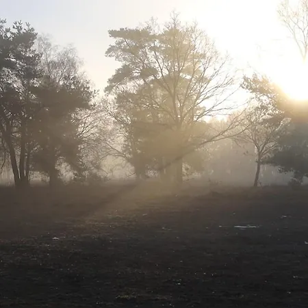 Huinerhofje 3 - Vrijstaand, Grote Tuin, Rust En Veel Privacy Nabij Uitgestrekte Bossen Holiday home *