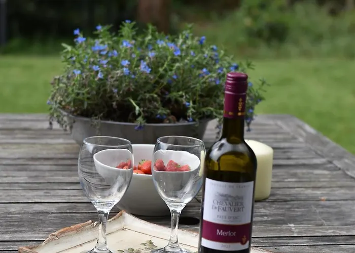 Dom wakacyjny Huinerhofje 3 - Vrijstaand, Grote Tuin, Rust En Veel Privacy Nabij Uitgestrekte Bossen