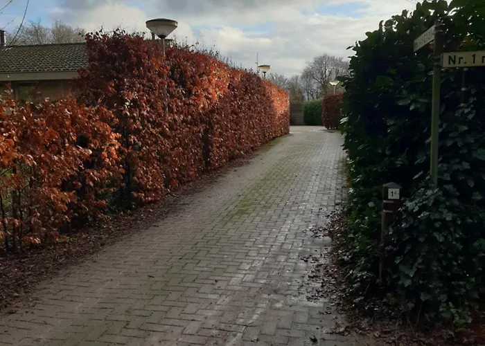 펜션 Huinerhofje 3 - Vrijstaand, Grote Tuin, Rust En Veel Privacy Nabij Uitgestrekte Bossen *