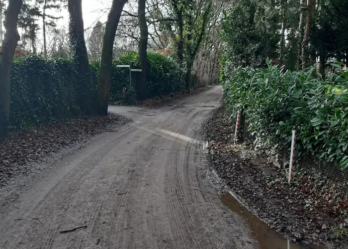 Huinerhofje 3 - Vrijstaand, Grote Tuin, Rust En Veel Privacy Nabij Uitgestrekte Bossen *
