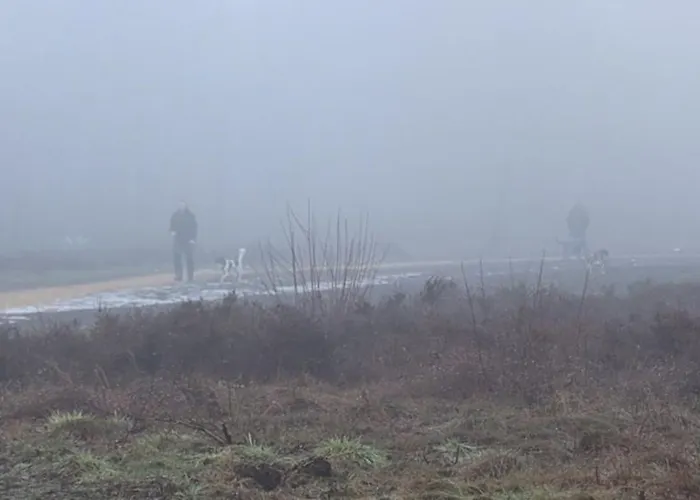 Huinerhofje 3 - Vrijstaand, Grote Tuin, Rust En Veel Privacy Nabij Uitgestrekte Bossen Dom wakacyjny *