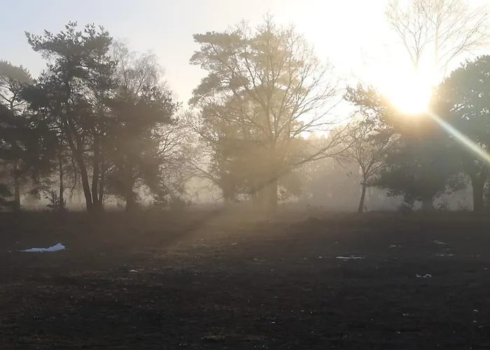 Huinerhofje 3 - Vrijstaand, Grote Tuin, Rust En Veel Privacy Nabij Uitgestrekte Bossen Dom wakacyjny *